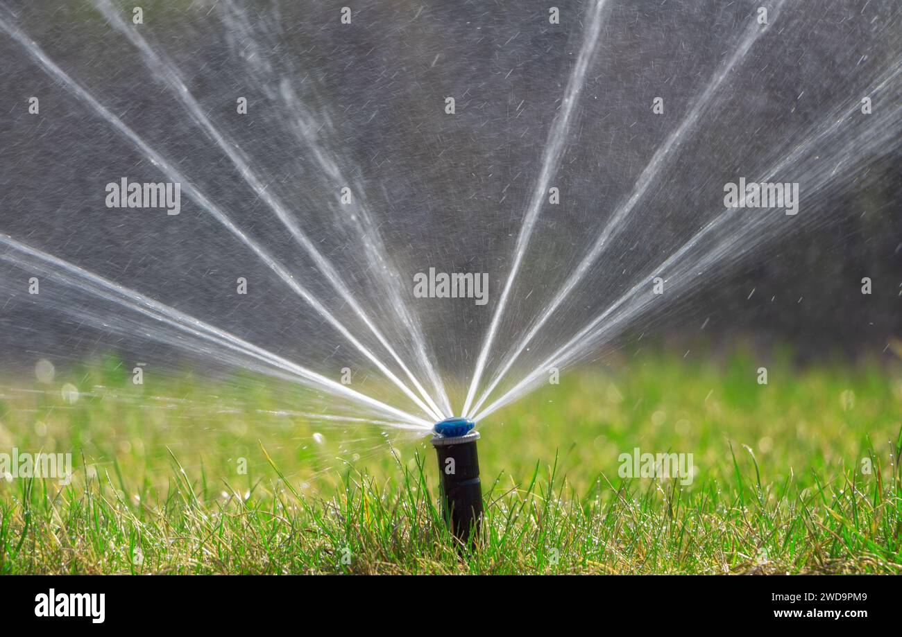 Bewässerungssystem bewässern Sie den trockenen Rasen. Rasenpflege, Gartenarbeit. Stockfoto