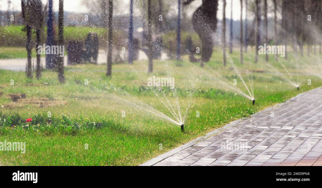 Automatische Sprinkleranlage zur Bewässerung des Rasens im Park Garten- und Rasenpflegekonzept. Stockfoto