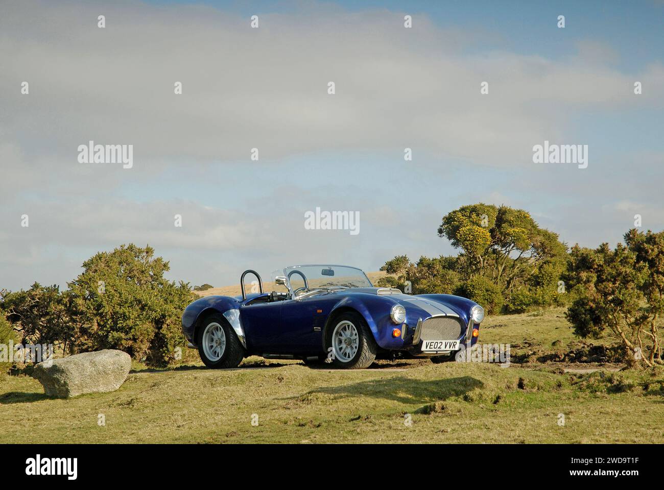 AC Cobra V8 Replikat Stockfoto