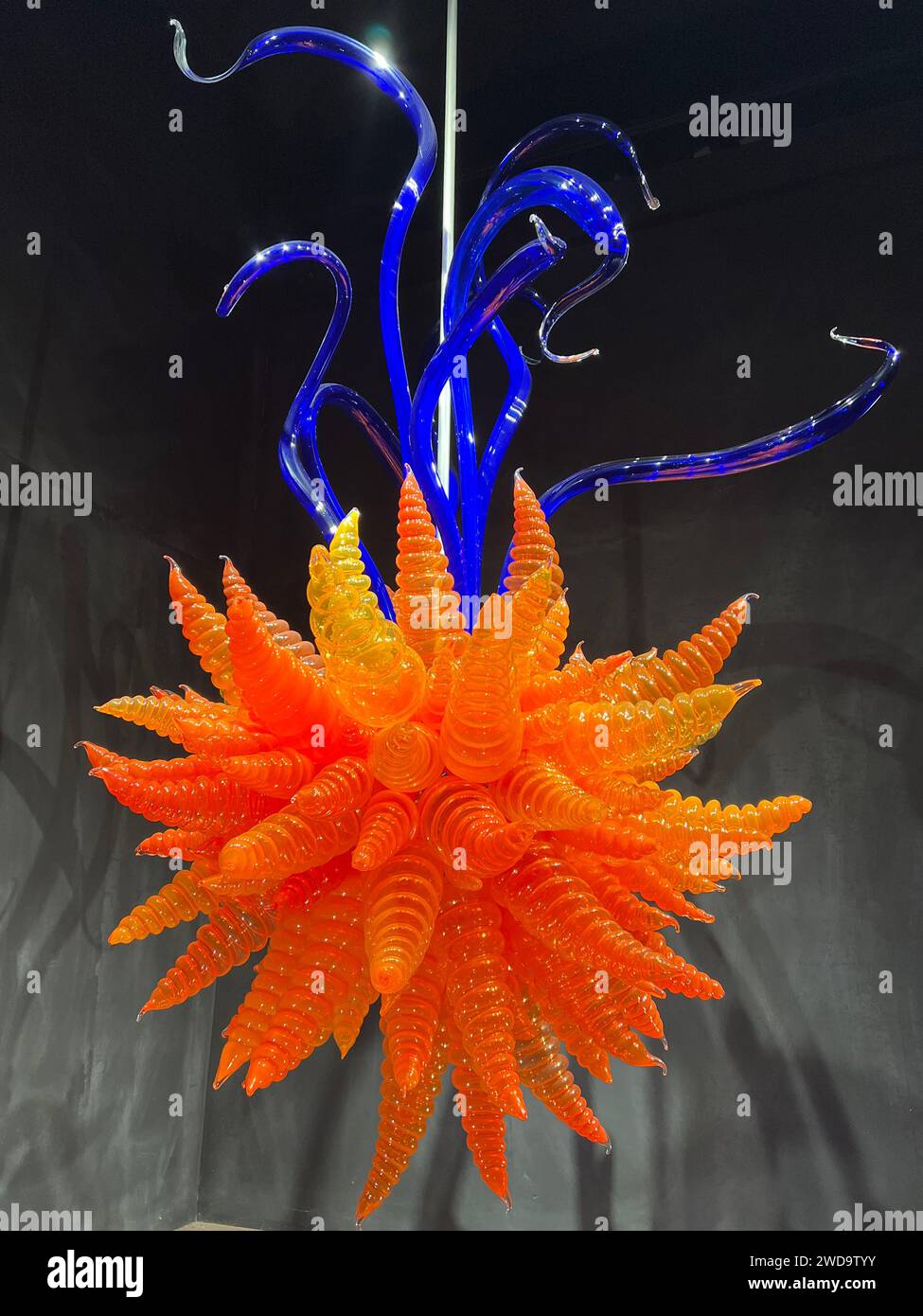 Matakana, Neuseeland: Skulpturenpark Sculptureum. Eine riesige, moderne Skulptur aus Plastik und Glas, die an ein mysteriöses Meereswesen erinnert. Stockfoto