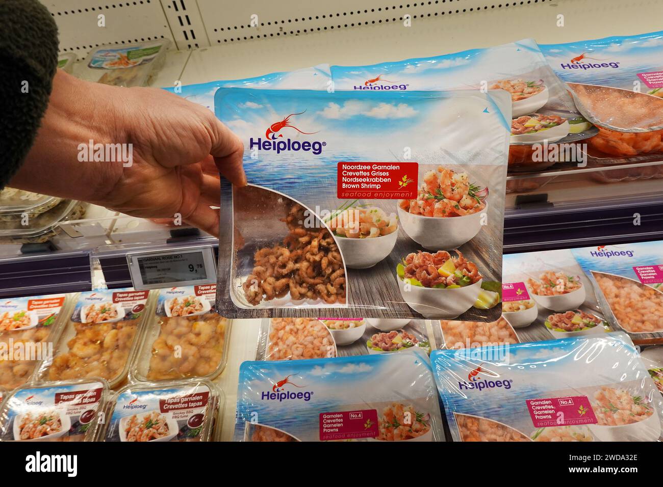 Nordsee-braune Garnelen in einem Supermarkt Stockfoto