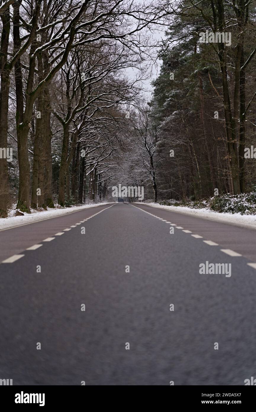 Vertikale Aufnahme einer langen, leeren Straße durch verschneiten Wald. Flacher Blick über eine Asphaltstraße mit schneebedeckten Bäumen. Niederländische Winterlandschaft Stockfoto