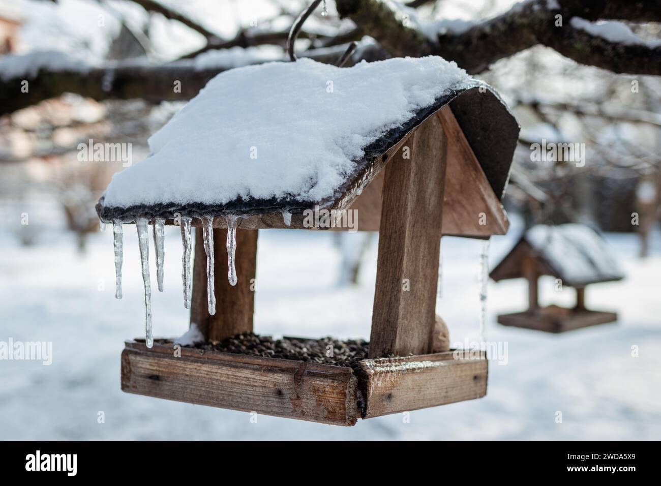 Vogelfutter aus Holz mit schneebedeckten und gefrorenen Eiszapfen, die im Winter an einem Baum hängen Stockfoto