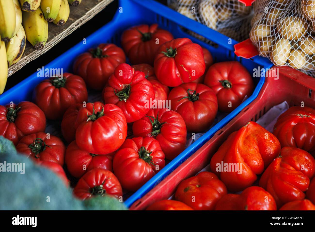 Erbstück Tomate auf dem Marktplatz. Bauernmarkt mit Gemüse und Obst in Alcudia, Mallorca Stockfoto