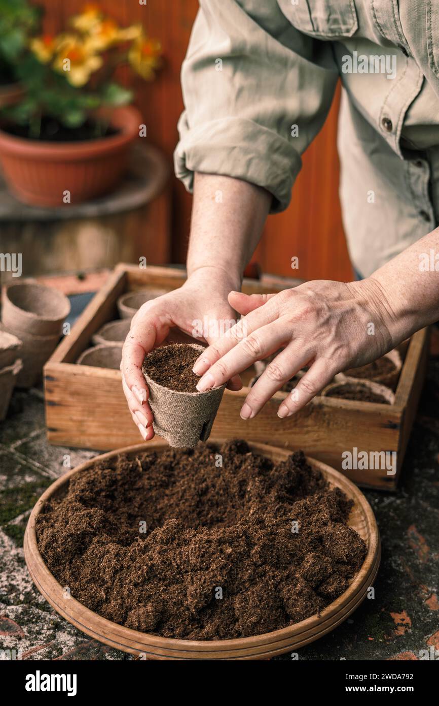 Gärtner, der Boden und Kompost in biologisch abbaubare Torftöpfe legt. Pflanzen und Aussäen im Frühling Stockfoto
