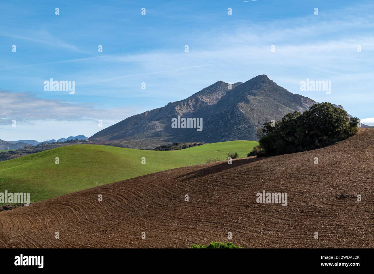 Berge und Kulturfelder in Antequera (Andalusien, Spanien) Stockfoto