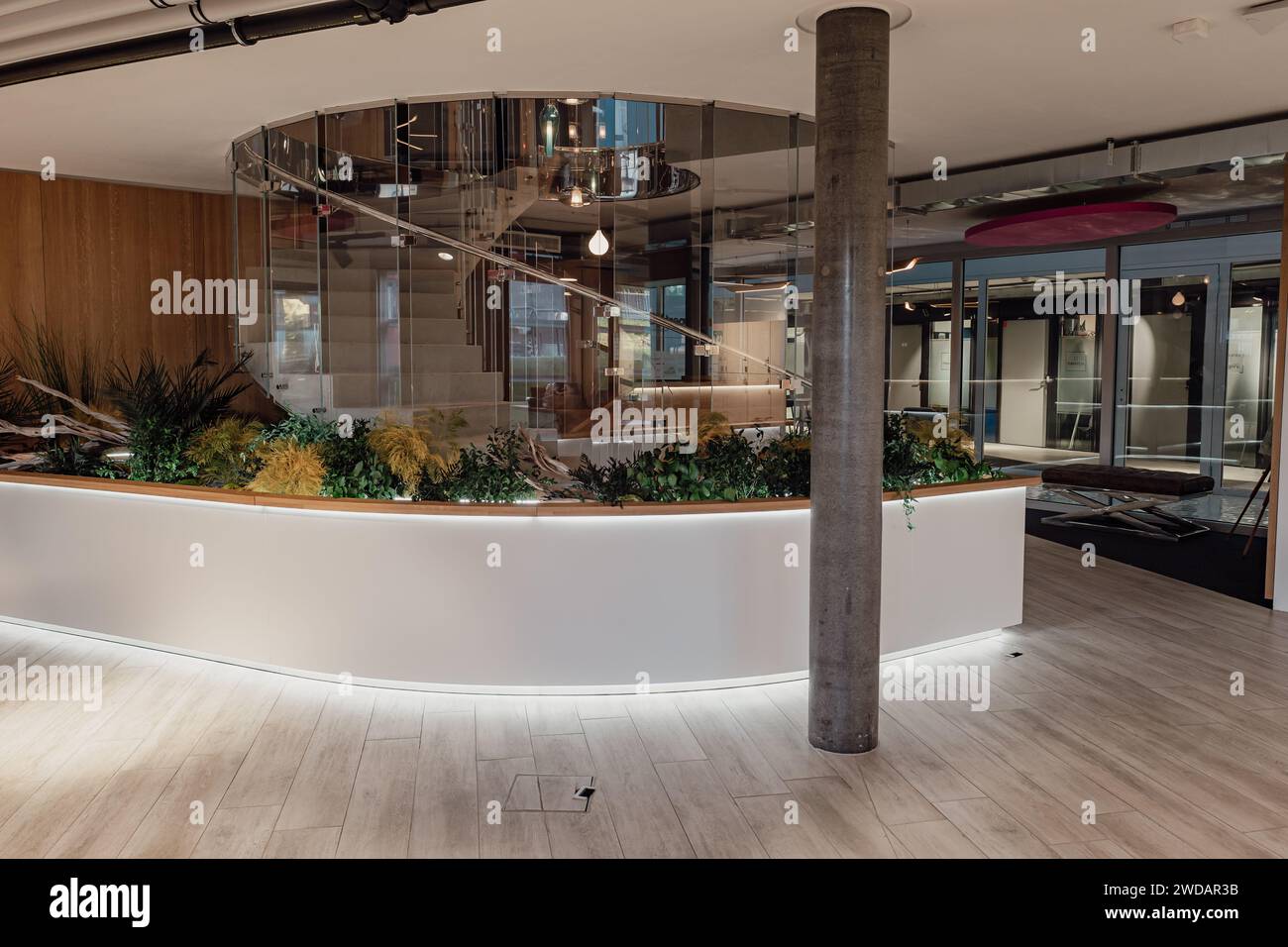 Das Laub im Innenbereich schmückt die geräumige botanische Kammer Stockfoto