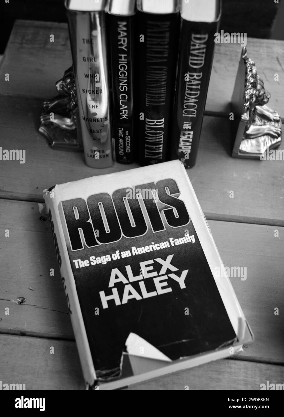 Eine Kopie des 1976 erschienenen Romans Roots von Alex Haley zum Verkauf in einem Gebrauchtbuchladen in Abingdon, Virginia. Stockfoto