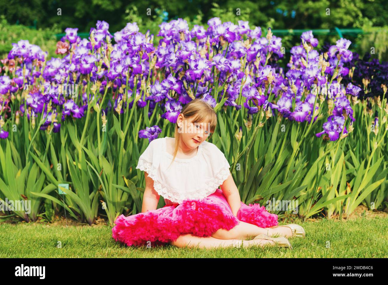 Niedliches kleines Mädchen, das an einem schönen Sommertag im Iris-Blumengarten spielt, mit weißem Hemd und knallrosa Tutu-Rock. Auf dem Gras sitzen Stockfoto