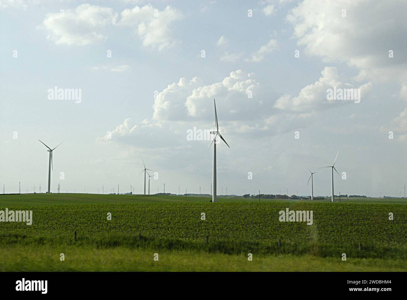 RUSHMORE WILMONT AREA /MINNESOTA/USA- Blick vom US/minnesota Highway auf Windturbines Park 10. JUNI 2014 Stockfoto