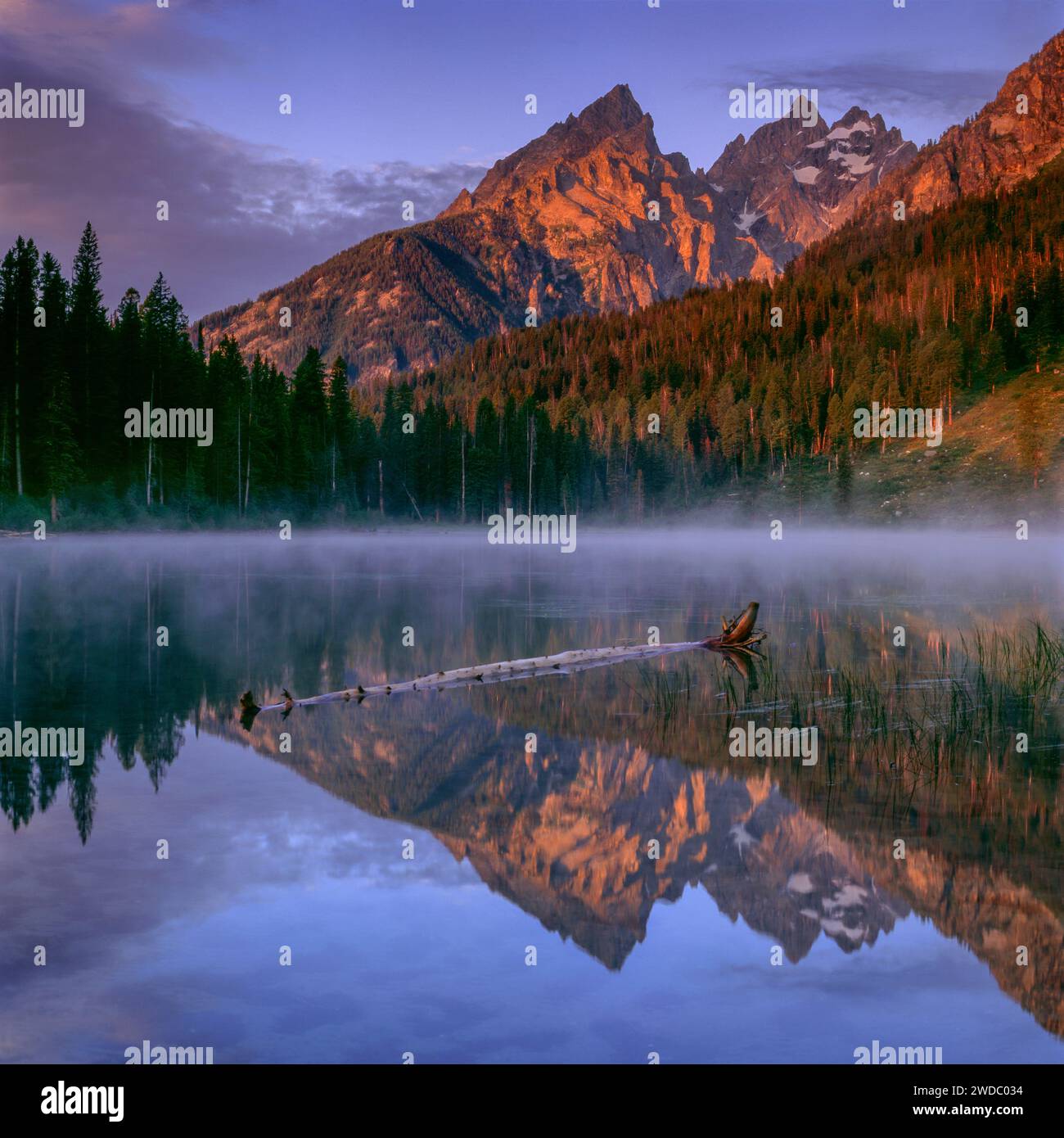 String Lake, Mount Teewinot, die Kathedralen, Grand Teton National Park, Wyoming Stockfoto