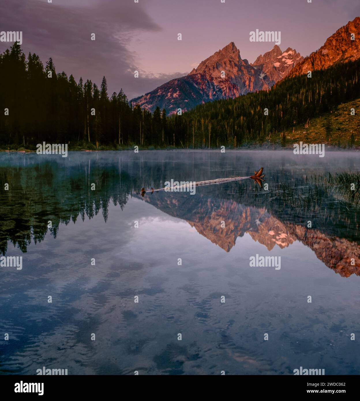 String Lake, Mount Teewinot, die Kathedralen, Grand Teton National Park, Wyoming Stockfoto