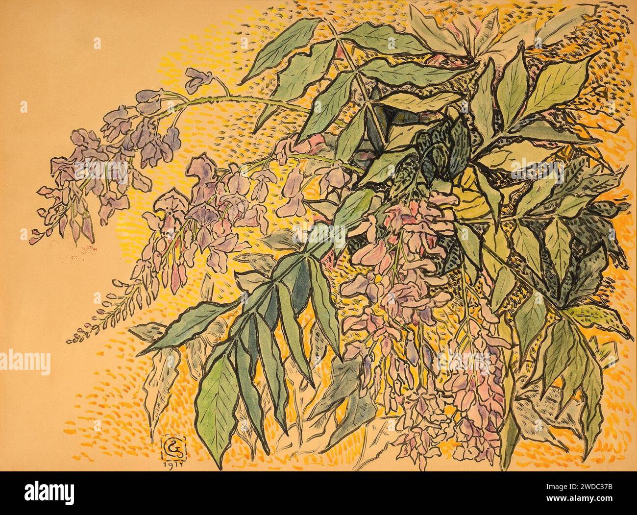 Gisbert Combaz – Wisteria. Stockfoto