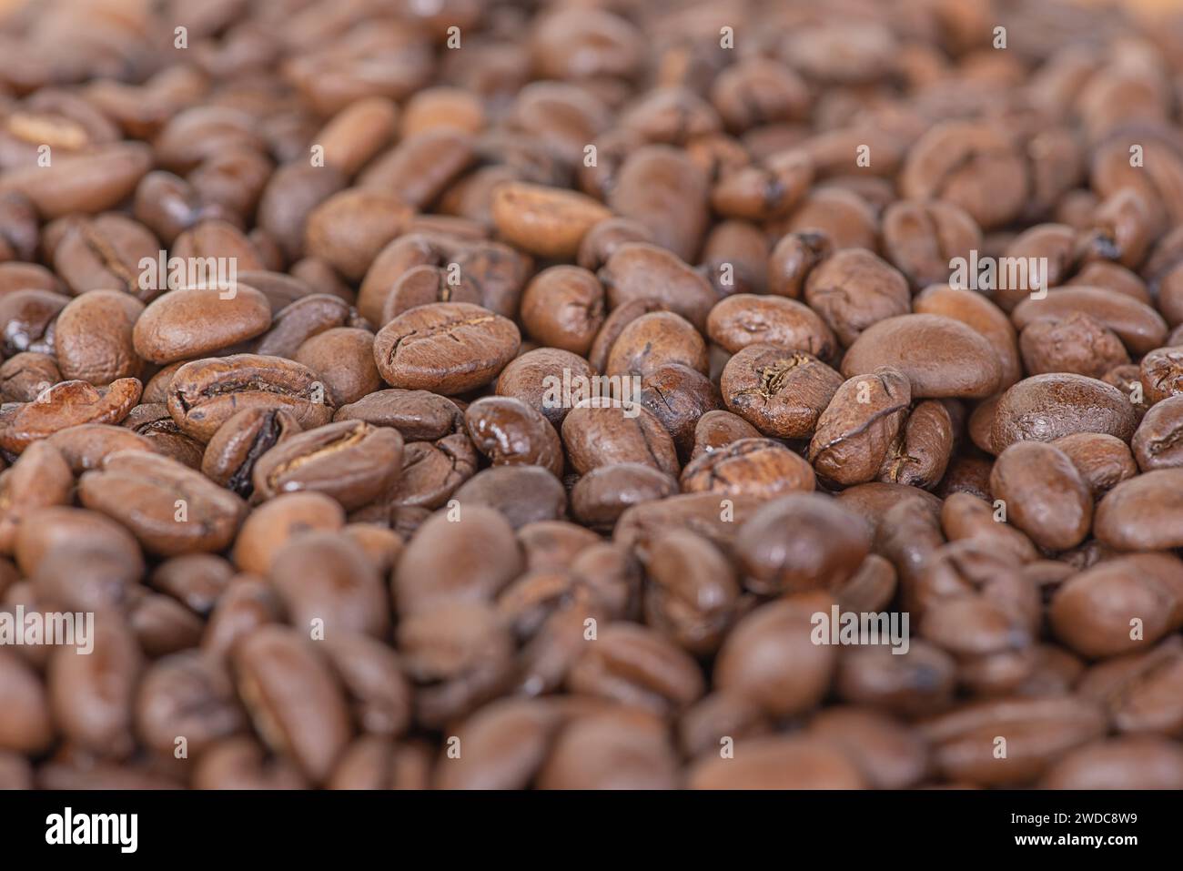 Arabica-Röstung mittelgroß. Geröstete Kaffeebohnen als Hintergrund. Makrofoto von Kaffee. Stockfoto