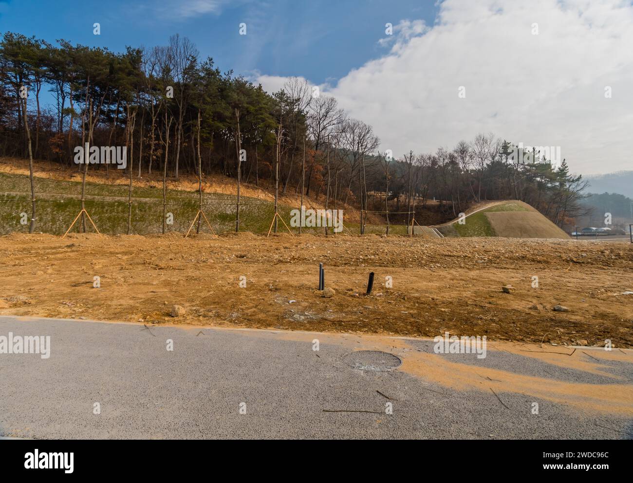 Landschaft der Baustelle mit Reihe neu gepflanzter Bäume am Rande unbebauter Flächen, Südkorea, Südkorea Stockfoto