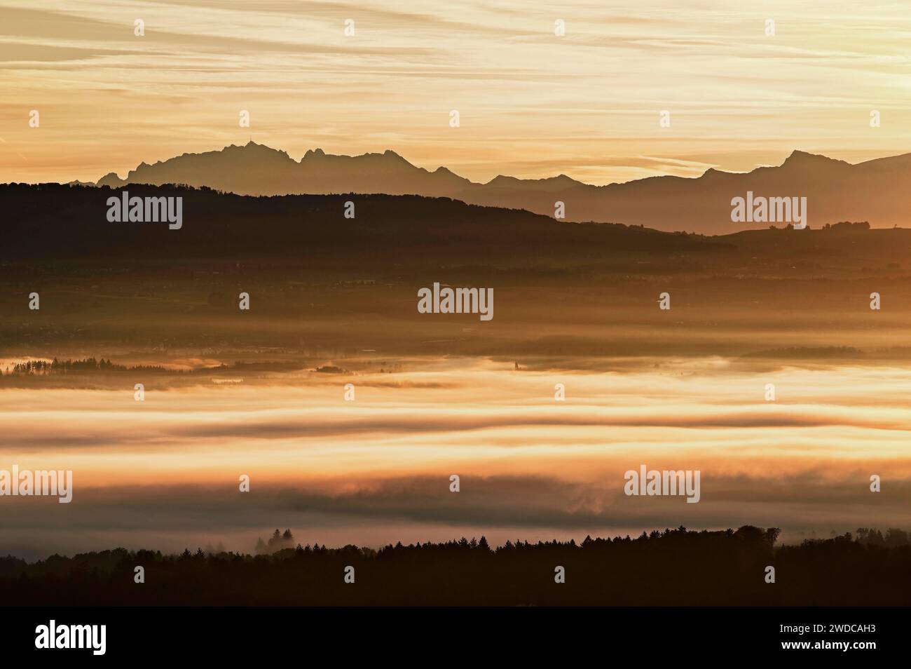 Sonnenaufgang über dem Reusstal im Nebel, Saentis im Hintergrund, Schlatt, Kanton Aargau, Schweiz Stockfoto