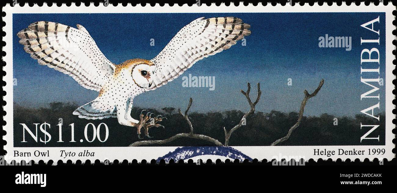 Scheuneneule landet nachts auf südafrikanischer Briefmarke Stockfoto