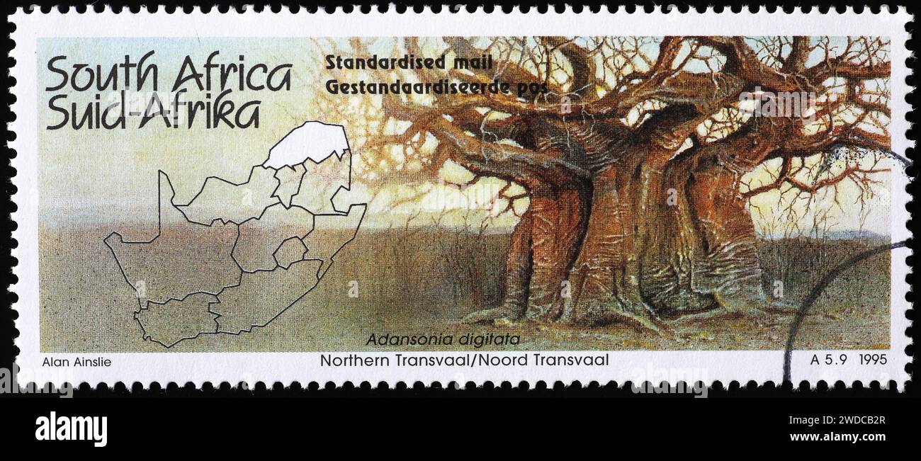 Riesenbaobab auf Briefmarke aus Südafrika Stockfoto