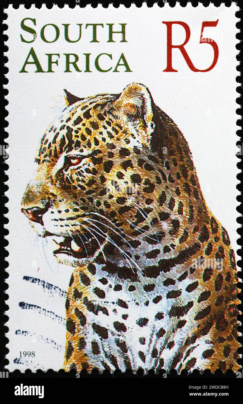 Mächtiger Leopard auf südafrikanischer Briefmarke Stockfoto