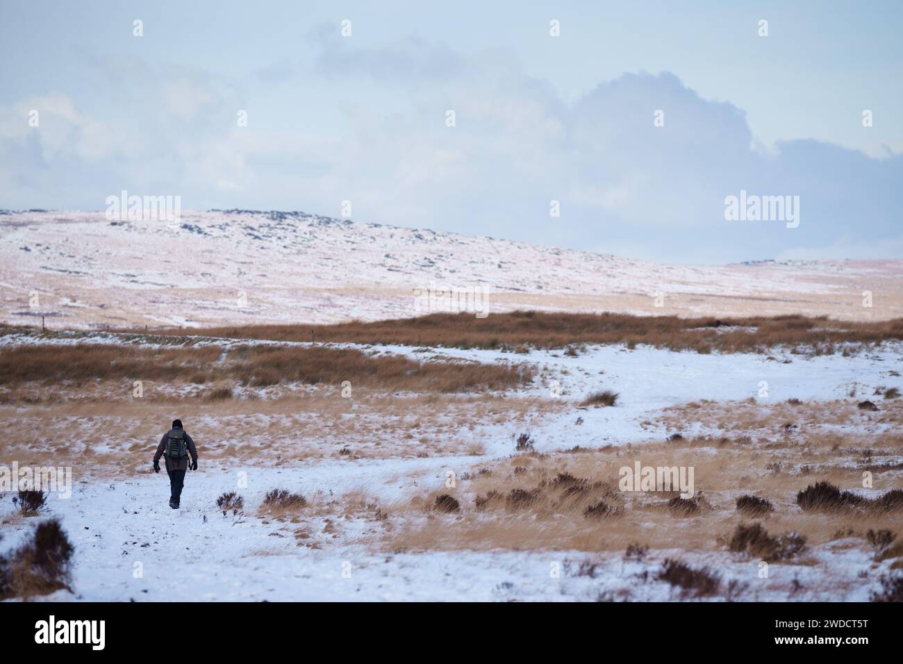 West Yorkshire, Großbritannien. Januar 2024. Ein Mann läuft auf einem schneebedeckten Feld in Nordengland, Großbritannien, 19. Januar 2024. Quelle: Jon Super/Xinhua/Alamy Live News Stockfoto