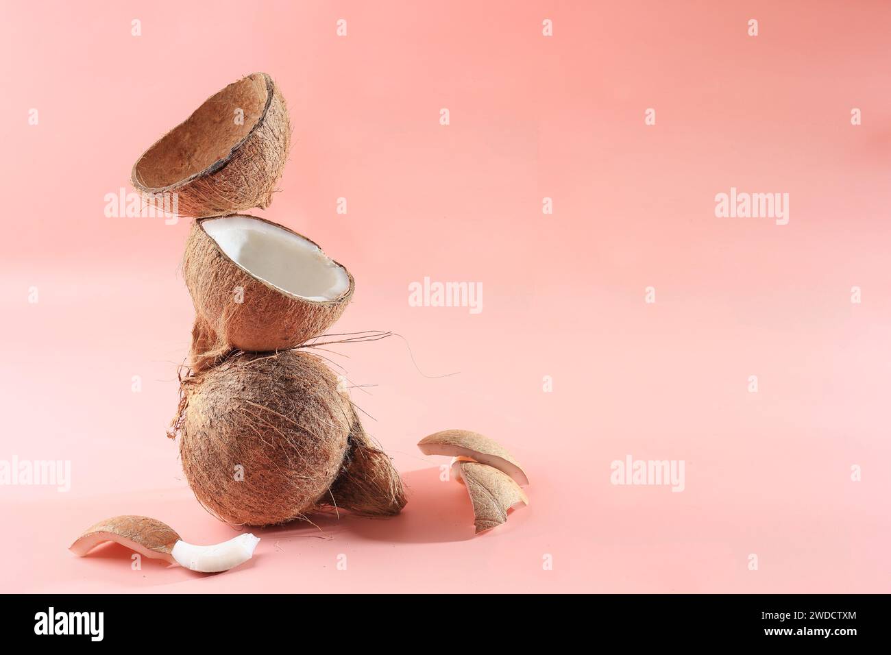 Alte braune Bio-Kokosfrucht-Kopra in Stücke gebrochen und auf rosafarbenem Hintergrund gestapelt. Kopierbereich für Text Stockfoto