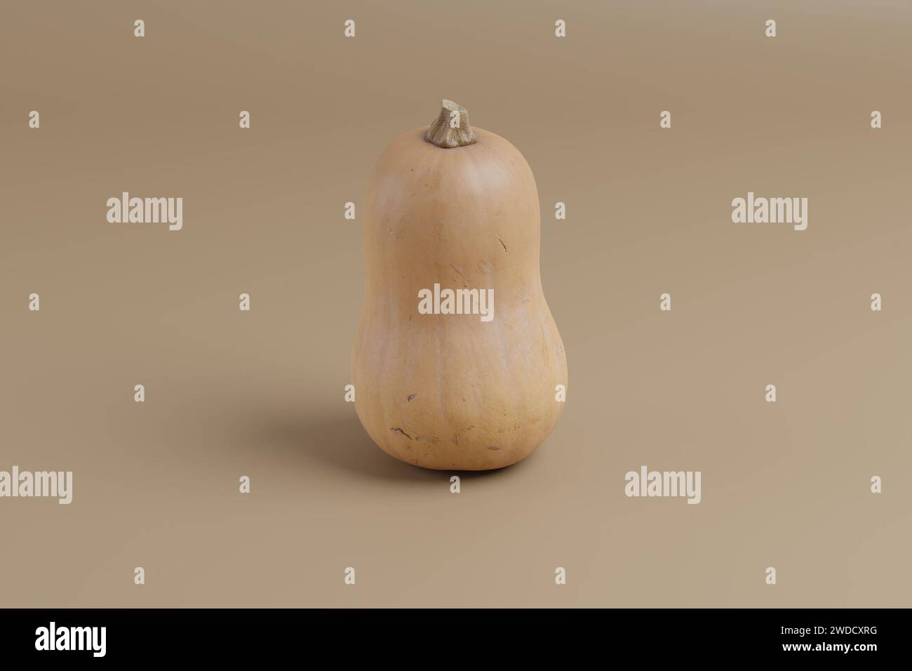 Foto von Butternut Squash auf solidem Hintergrund Stockfoto