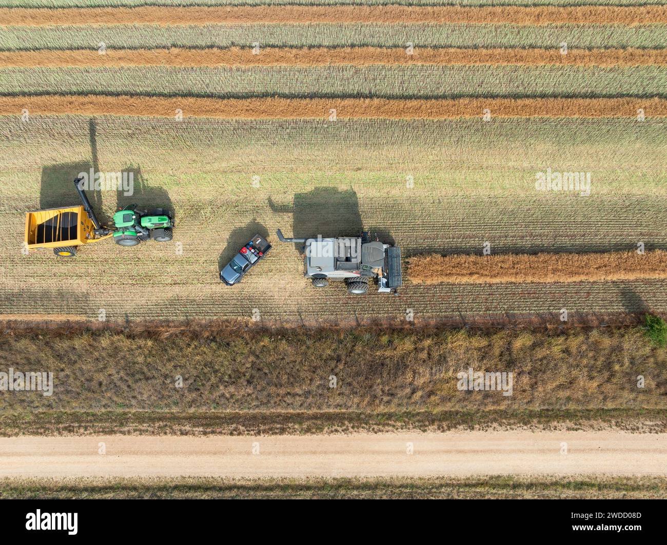 Aus der Vogelperspektive eines Ernteers und Nutzfahrzeuge, die auf einem Feld am Joyces Creek in Central Victoria, Australien, arbeiten Stockfoto