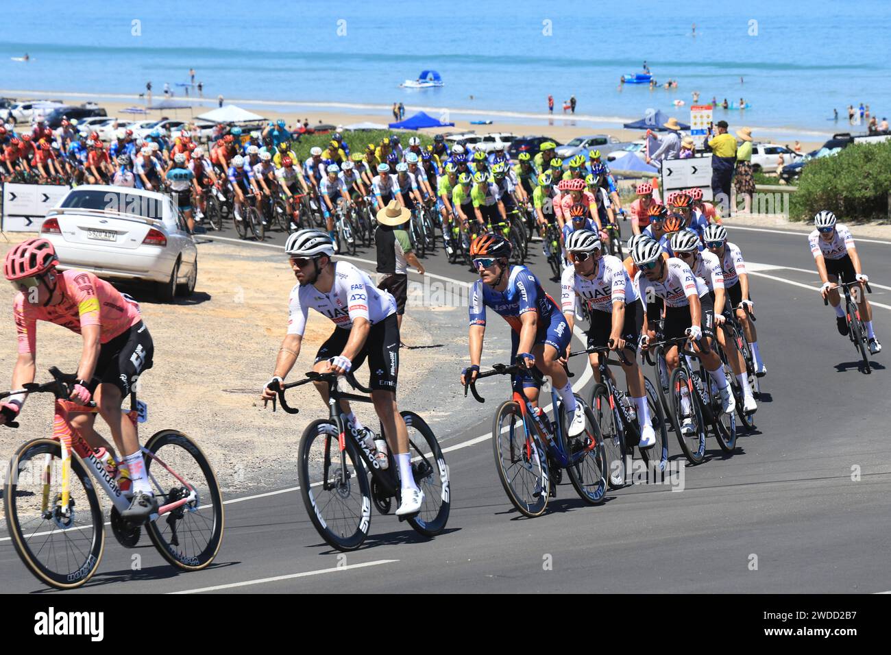 Fahrer, die an der Esplanade in Aldinga in der 5. Etappe des Tour Down Under Radrennens 2024 in Adelaide Australien teilnehmen Foto Russell Mountford/Alamy Live News Stockfoto