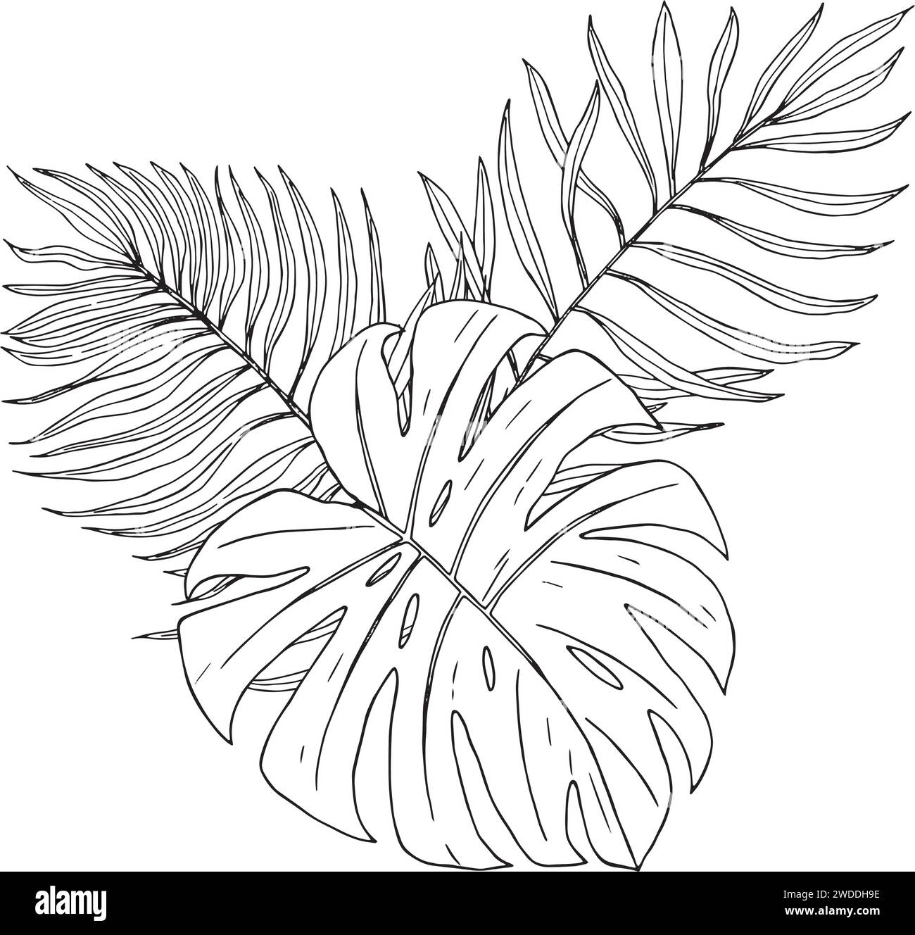 Vektorkomposition mit exotischen Blättern. Handgezeichnete Illustration in Vektor konvertiert. Zum Bedrucken von Textilien, Verpackungen, Tapeten und Karten Stock Vektor