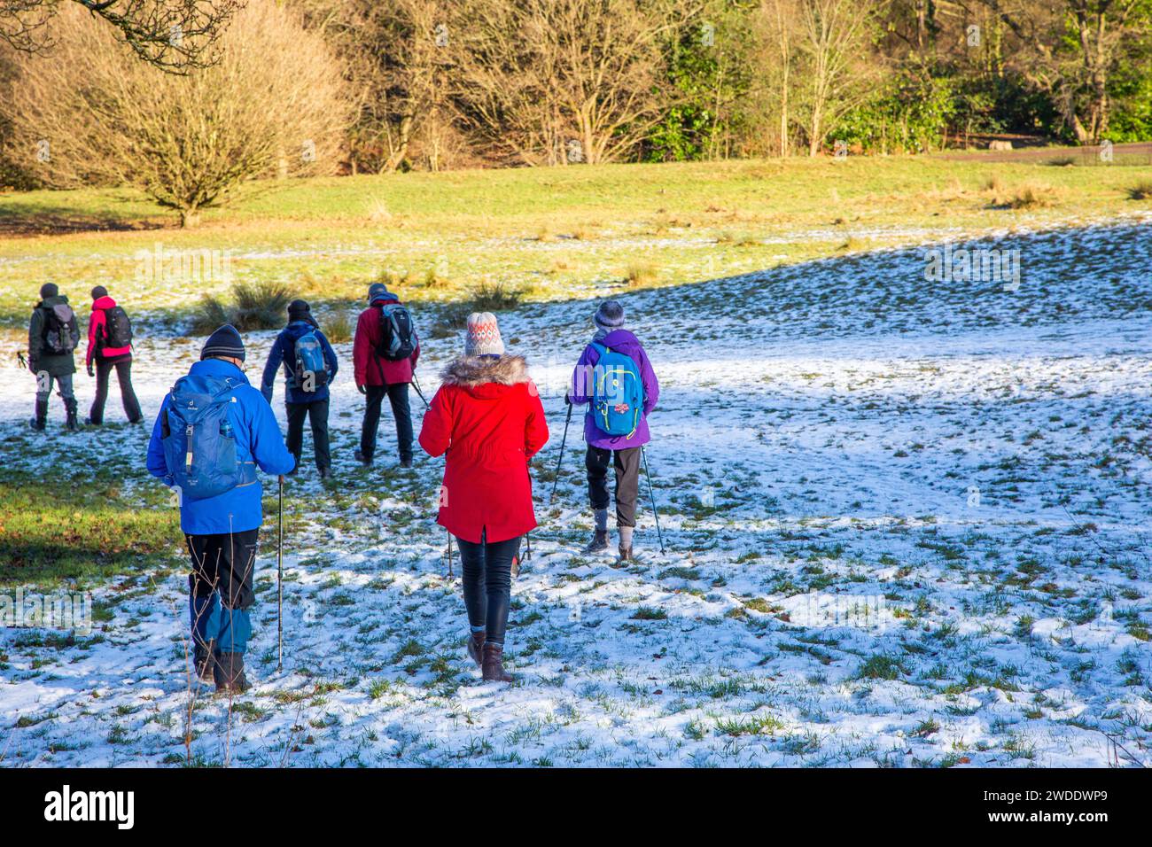 Mitglieder einer lokalen Wandergruppe, die sich fit und aktiv auf einem winterlichen, schneebedeckten Spaziergang durch die Landschaft rund um Wilmslow Cheshire England halten Stockfoto