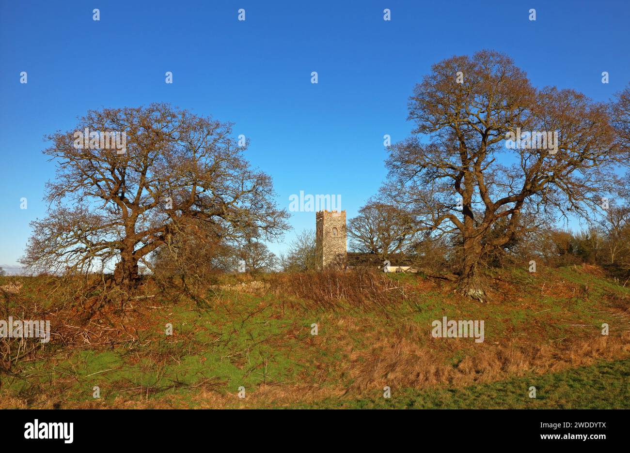 Ein Blick über die Stadtmauer und die Mauer der römischen Stadt Venta Icenorum in Richtung der Kirche in Caistor St Edmund, Norfolk, England, Großbritannien. Stockfoto