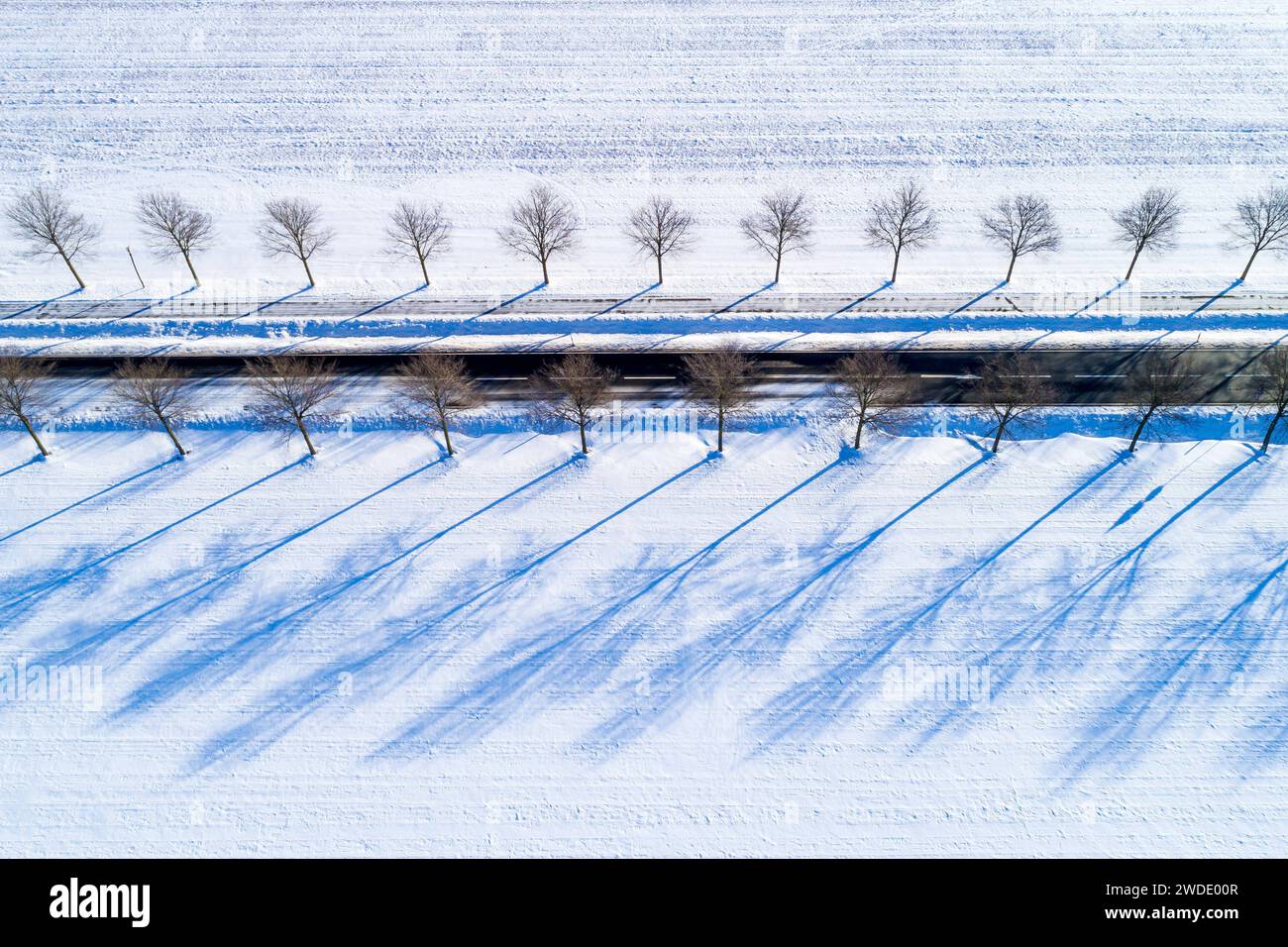 Winter in Brandenburg DEU/Deutschland/Brandenburg/Welzow, 20.01.2024, Winter in Brandenburg, Schnee liegt auf Felden neben einer Landstraße in den brandenburgischen Lausitz nahe der Ortschaft Welzow, Luftaufnahme mit einer Drohne. *** Winter in Brandenburg DEU Deutschland Brandenburg Welzow, 20 01 2024, Winter in Brandenburg, Schnee liegt auf Feldern neben einer Landstraße in der Brandenburger Lausitz bei Welzow, Luftaufnahme mit Drohne AF Welzow 28587.jpeg Stockfoto