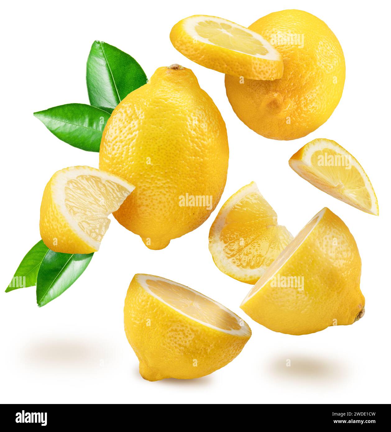 Reife Zitronenfrüchte mit Blättern, die in der Luft schweben, auf weißem Hintergrund. Datei enthält Beschneidungspfad. Stockfoto