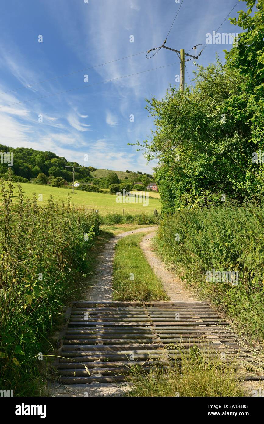 Rindergitter auf einem ländlichen Gleis und Wolkenbildung über dem Broad Town Steilhang in Wiltshire. Stockfoto