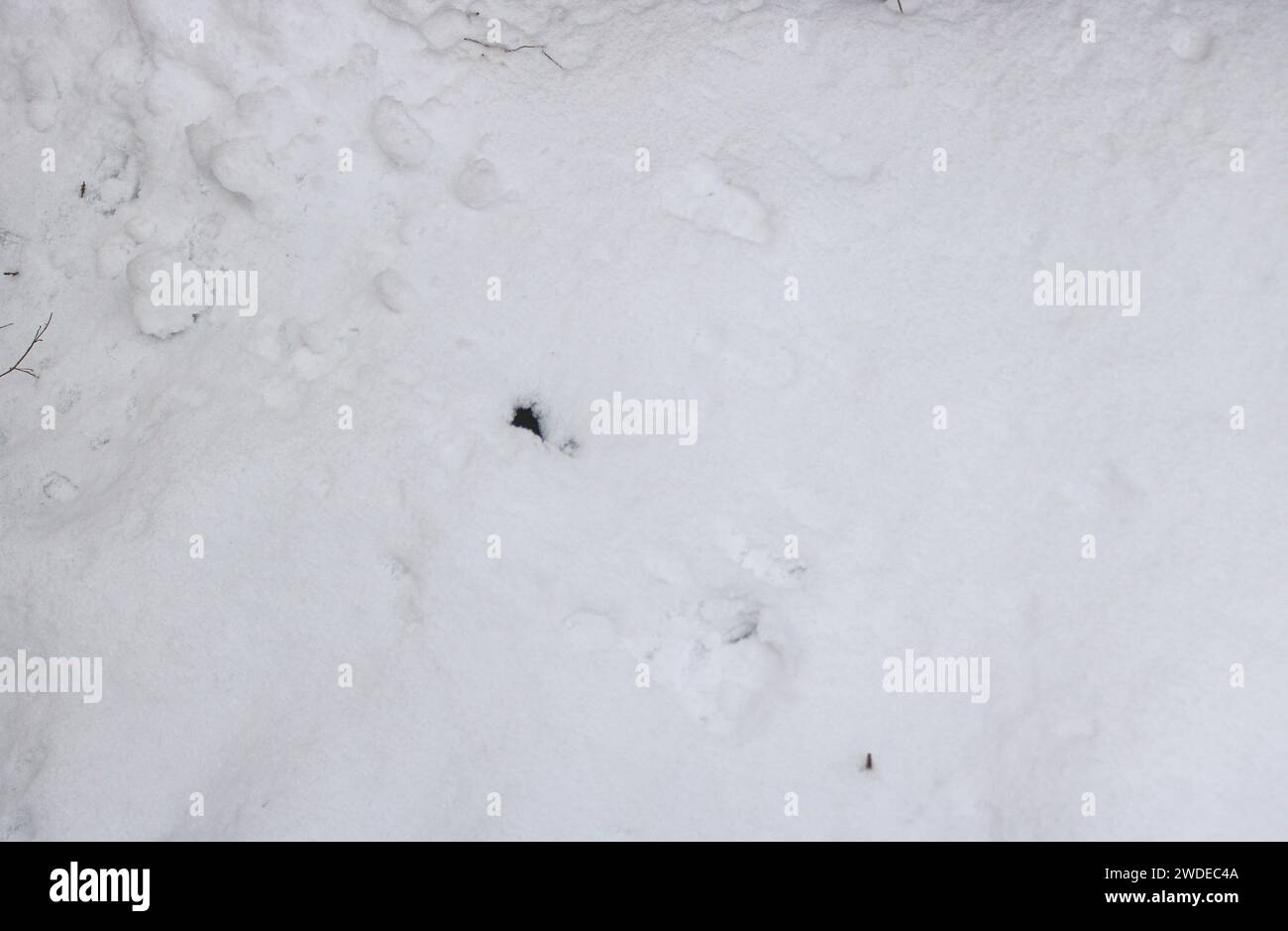 Schnee-Textur Stockfoto