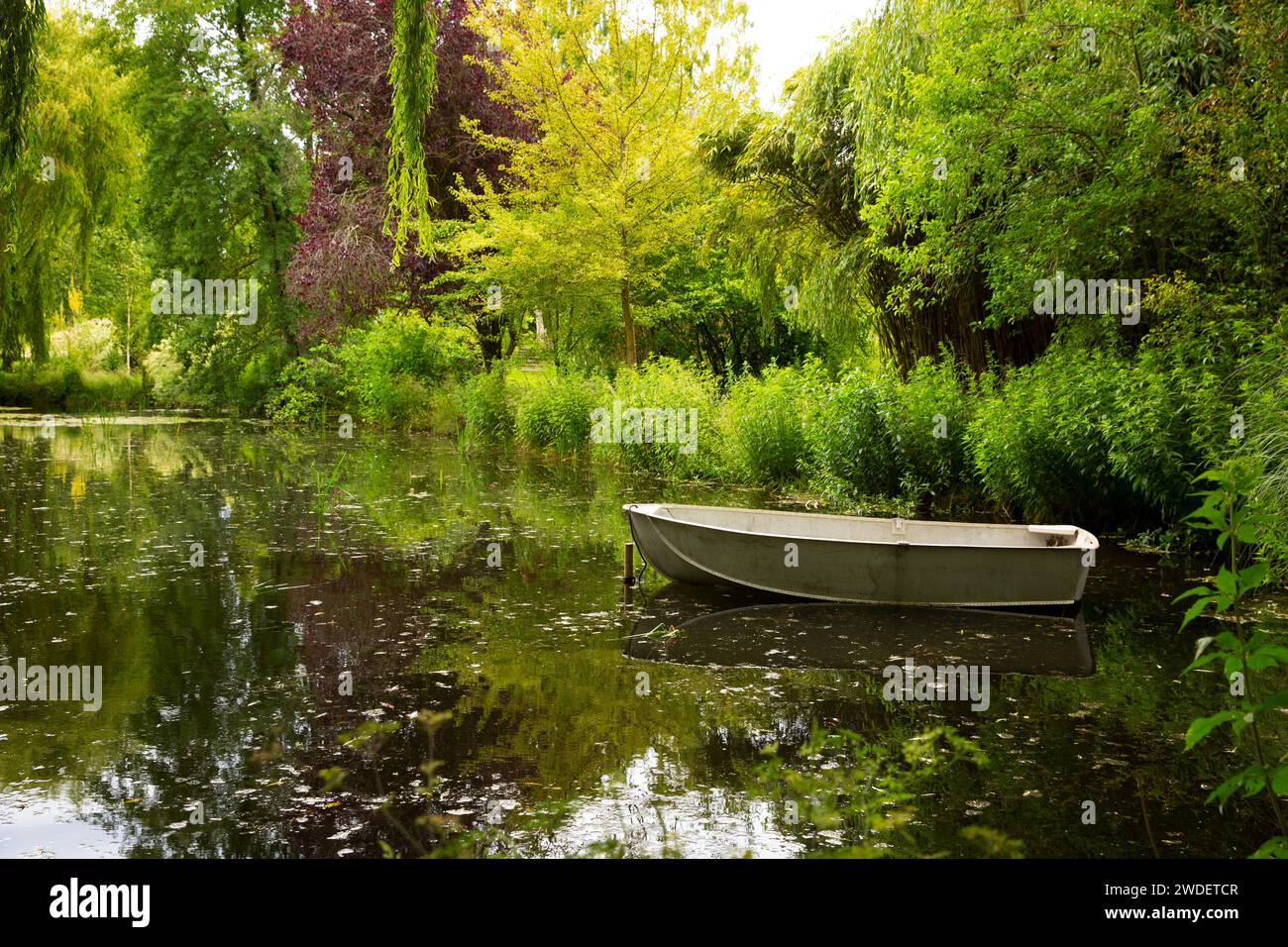 In den Gooderstone Water Gardens in der Nähe von Swaffham, Norfolk, gleitet ein Boot auf einem ruhigen Teich zwischen alten Bäumen Stockfoto