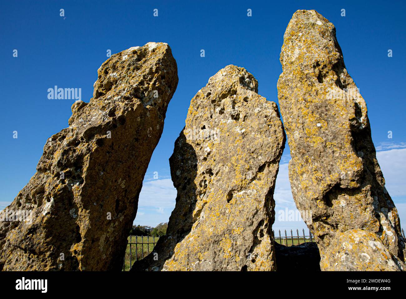 The Whispering Knights, Rollright Stones megalithisches Monument, in Little Rollright bei Chipping Norton, Oxfordshire, England Stockfoto