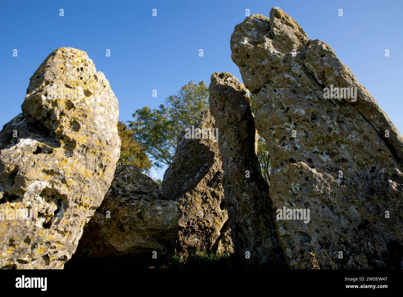 The Whispering Knights, Rollright Stones megalithisches Monument, in Little Rollright bei Chipping Norton, Oxfordshire, England Stockfoto