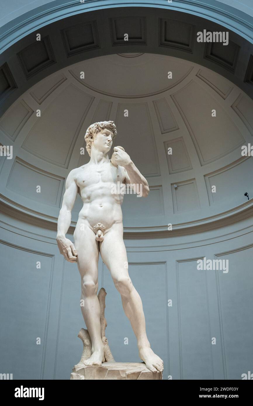 Statue von David aus Michelangelo, vertikale Aufnahme aus der Galleria Dell'Accademia, Florenz, Italien, Europa Stockfoto