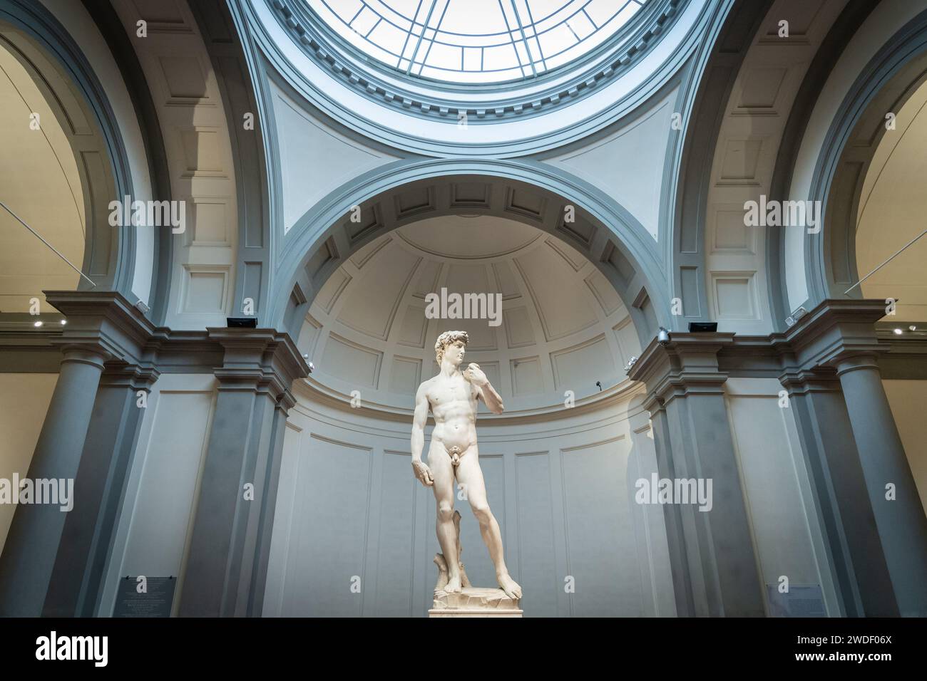 Statue von David aus Michelangelo, Weitbild aus der Galleria Dell'Accademia, Florenz, Italien, Europa Stockfoto