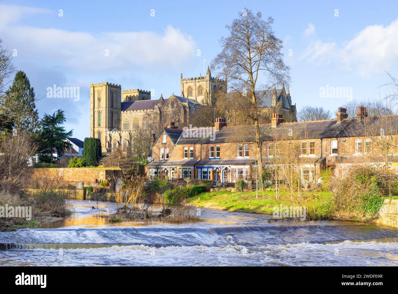 Ripon Cathedral und River Skell Ripon North Yorkshire England Großbritannien GB Europa Stockfoto
