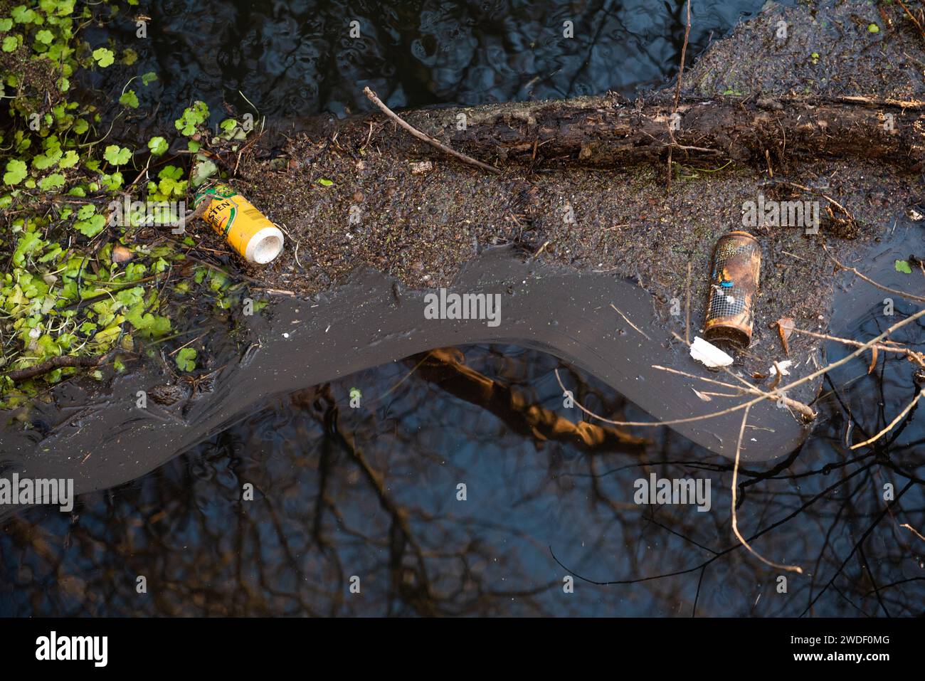Müll auf dem Landweg, zerknitterte Dosen im Fluss Stockfoto