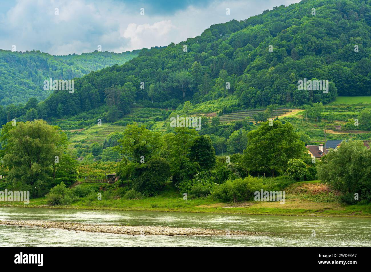 Wachautal, Niederösterreich - AT - 8. Juni 2023 malerisches Wachautal, eine österreichische Region westlich von Wien. Mit seinen sanften Hügeln, Weinbergen und o Stockfoto