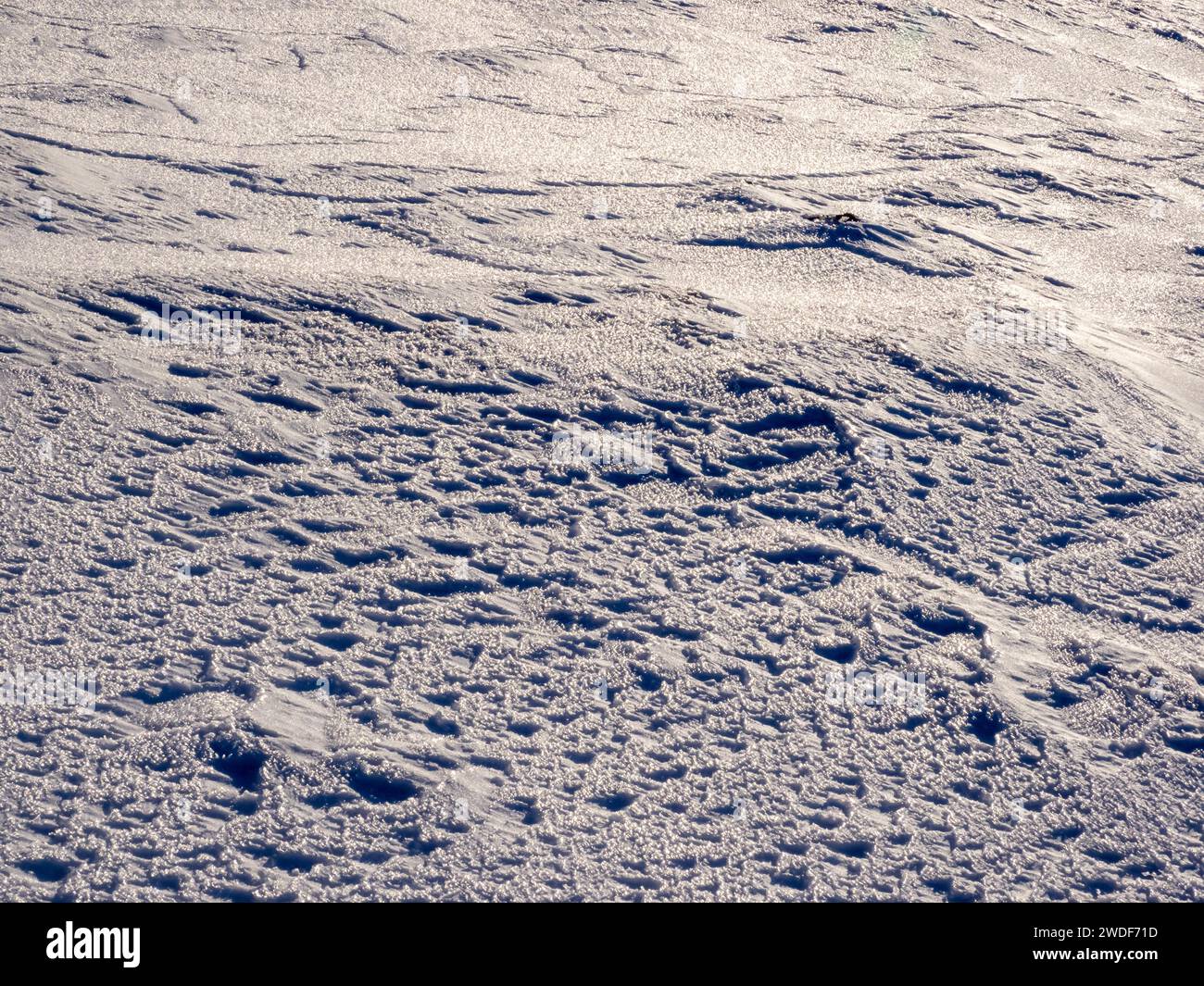 Muster im Schnee auf Cairgorm in den Cairngorms, Schottland, Großbritannien Stockfoto