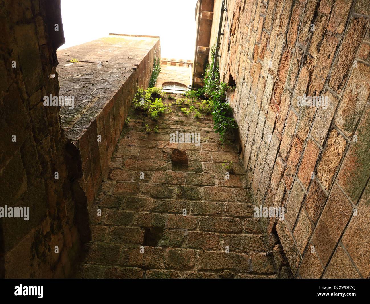 Mont-Saint-Michel ist eine französische Gemeinde im Departement Manche in der Normandie. Stockfoto