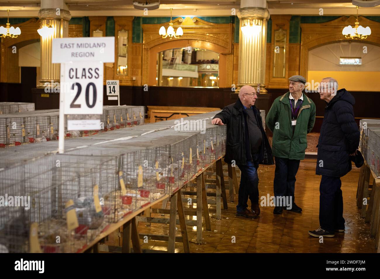 Blackpool, Großbritannien. Januar 2024. Die Leute diskutieren die Veranstaltung auf der diesjährigen britischen Homing World Show. Das Hotel zieht rund 15.000 Besucher an. Es ist das Highlight des Jahres für Taubenzüchter, die aus der ganzen Welt kommen, um ihre Vögel im Rahmen einer historischen Gemeinschaftsfeier zu zeigen. Andy Barton/Alamy Live News Stockfoto