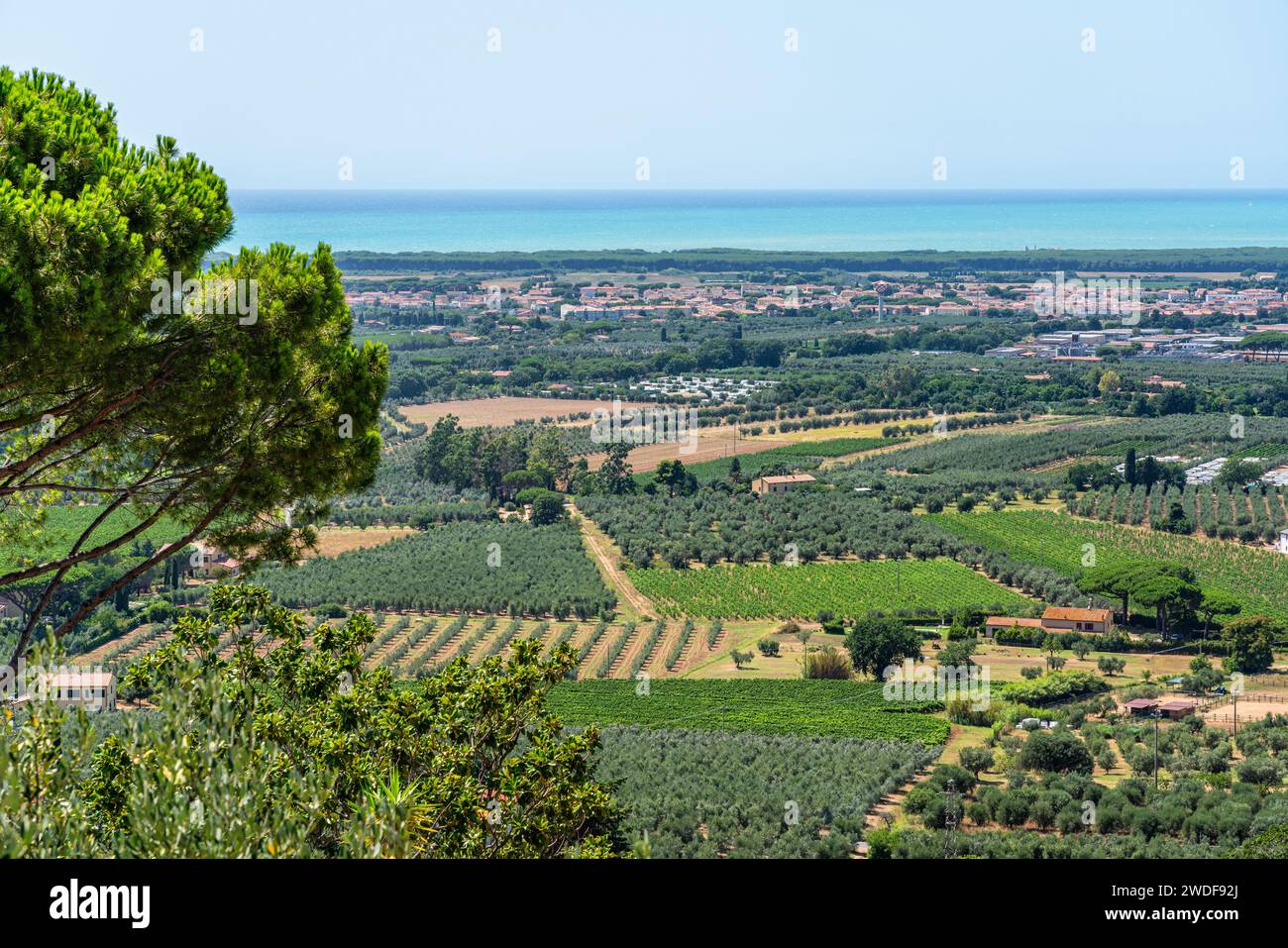 Malerische Sehenswürdigkeit im Dorf Castagneto Carducci in der Provinz Livorno, Toskana, Italien. Stockfoto