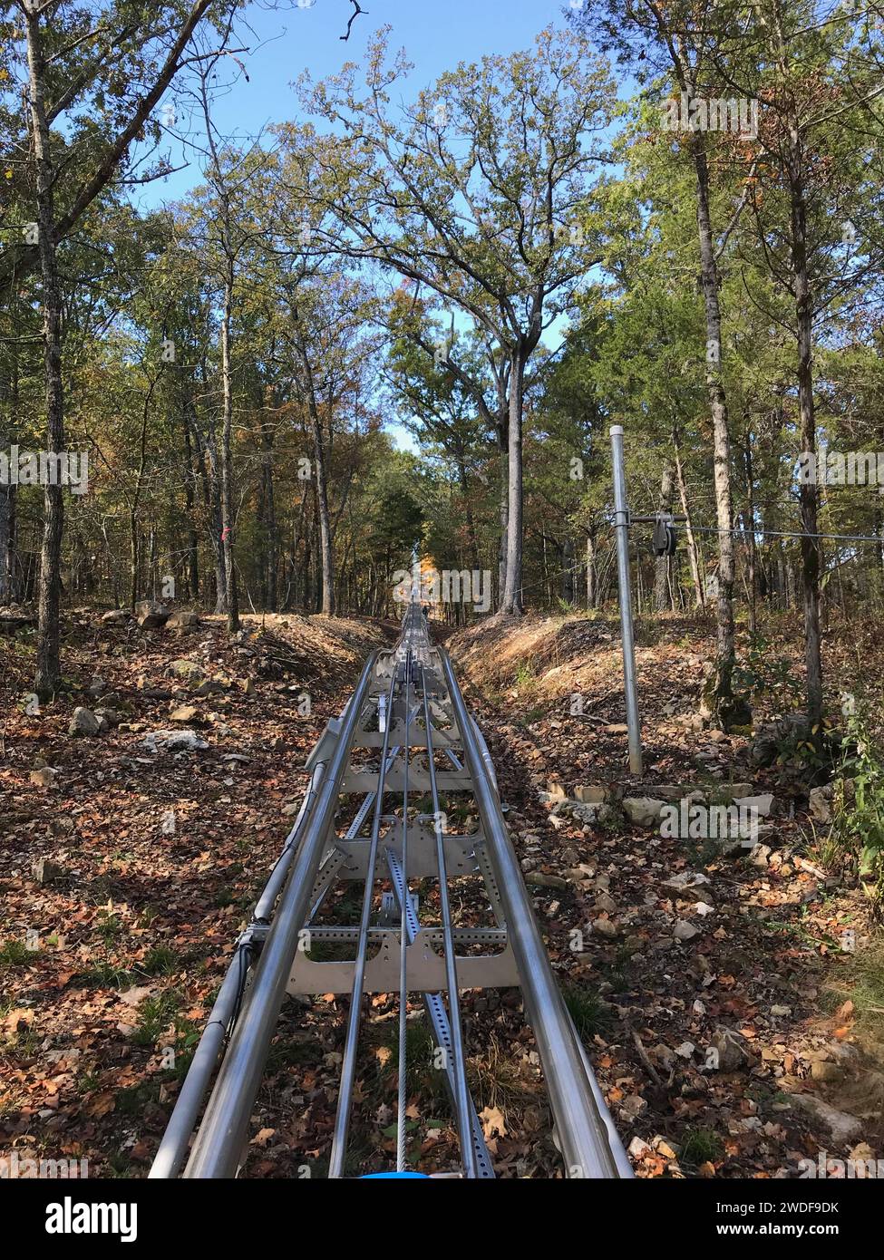 Mountain Coaster Rails in the Woods Stockfoto