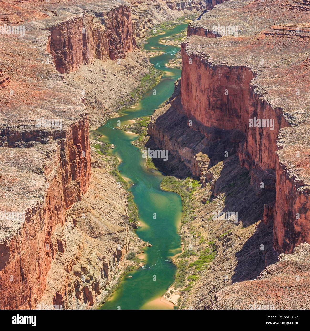 Marble Canyon des Colorado River im dreifachen nischen Bereich der Grand Canyon National Park, Arizona Stockfoto