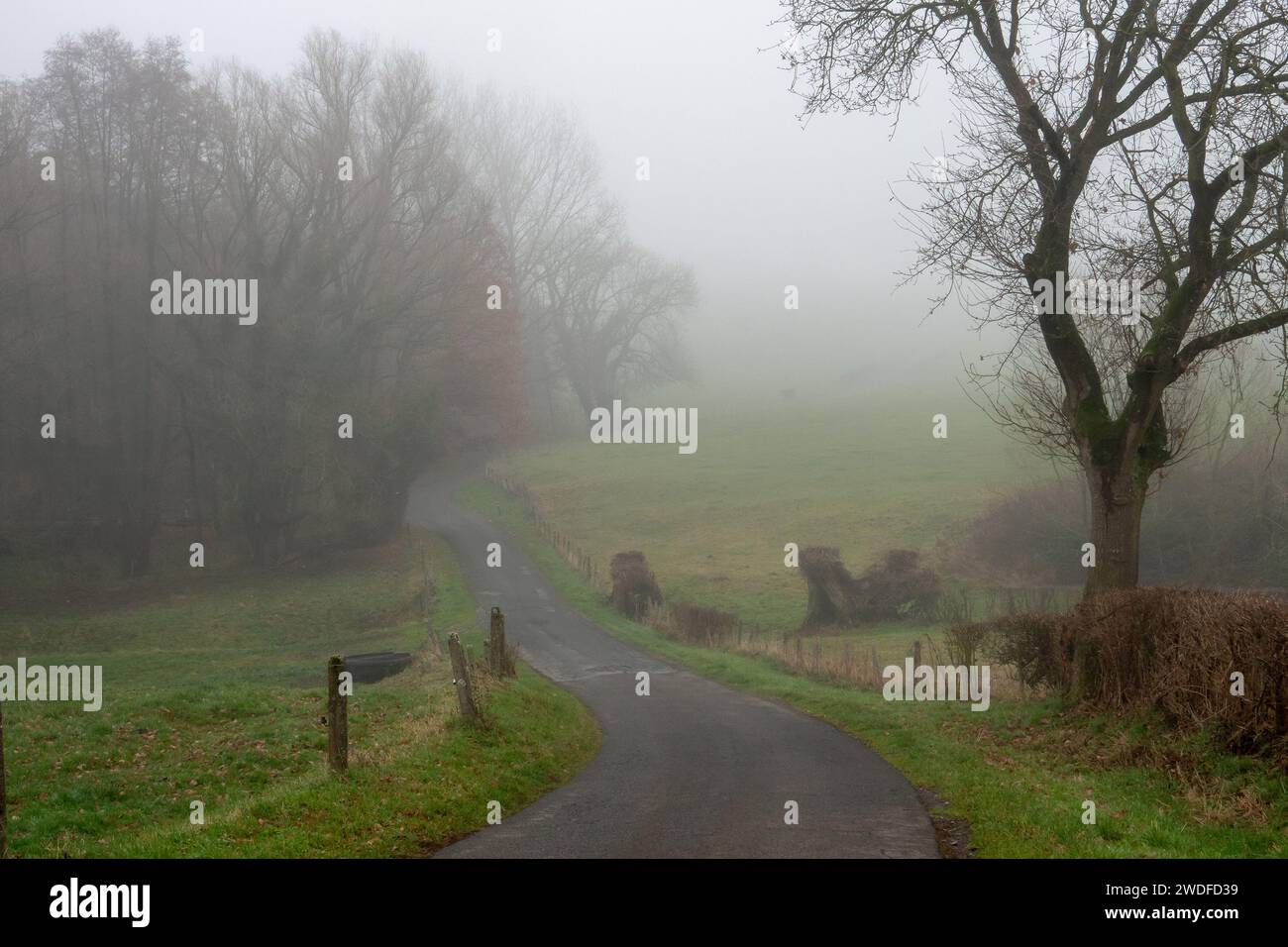 Landschaft mit nebliger November-Atmosphäre Stockfoto